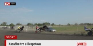 Kasačke trke Despotovo 2026