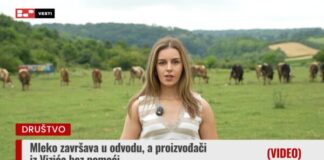 Mleko iz Vizića
