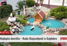 Najlepša dvorišta – Rada Stojsavljević iz Gajdobre (VIDEO) najlepše dvorište